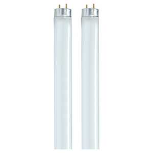Lighting & Ceiling Fans