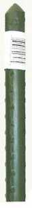 Tomato Cages & Plant Stakes product