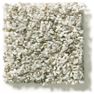 Carpet & Accessories product