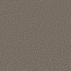 Carpet product