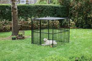 Pet Supplies & Wildbird