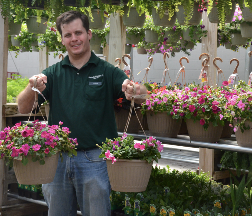 A Sutherlands employee holding up 2 potted flower hanging baskets. 