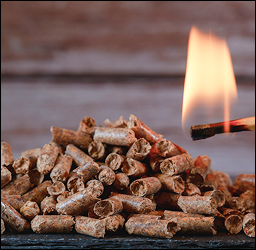 wood pellets 1.png