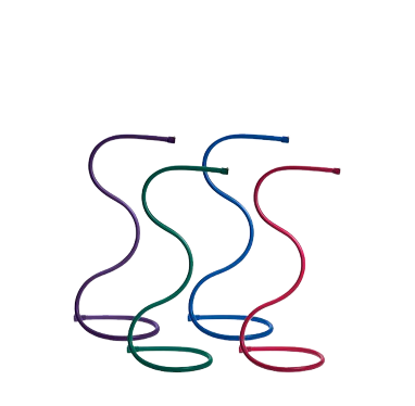 Group 96.png