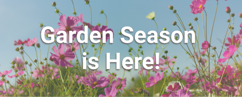 Ready, set, grow with flowers in the background.