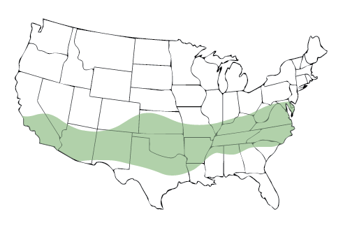 A map of the USA featuring the northern region.