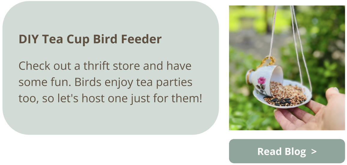 Create this DIY tea cup bird feeder. Read our blog to follow along!