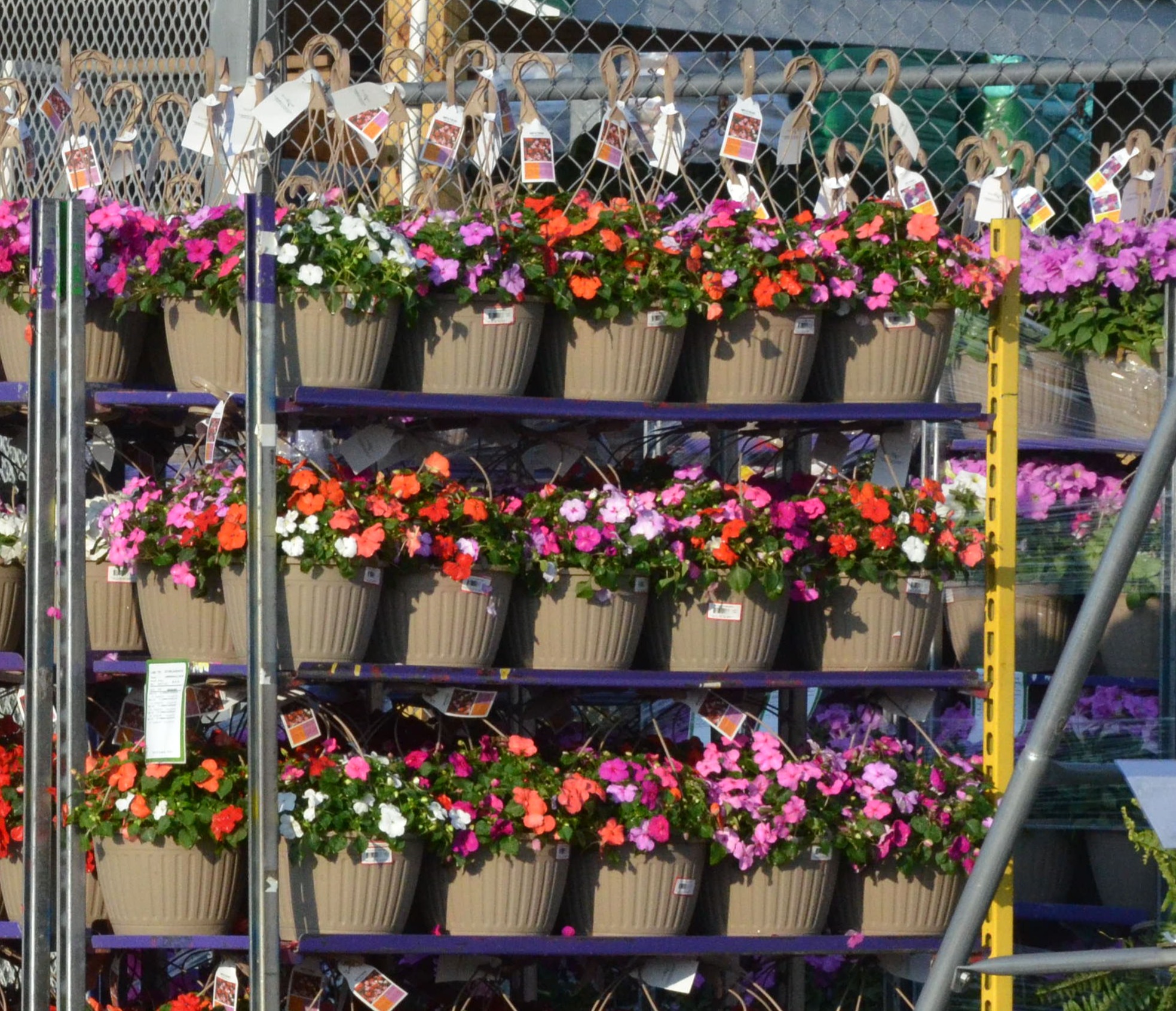 Orange, pink, and purple flower baskets on display outside. 