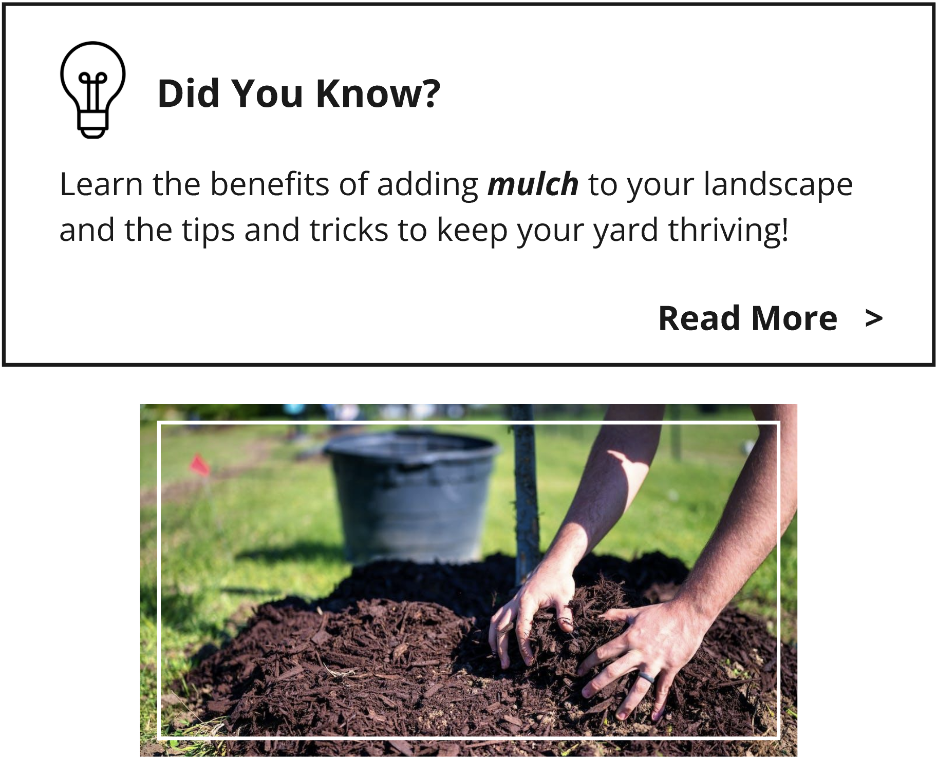 Learn the benefits of adding mulch to your landscape and the tips and tricks to keep your yard thriving!