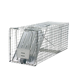 Animal trap