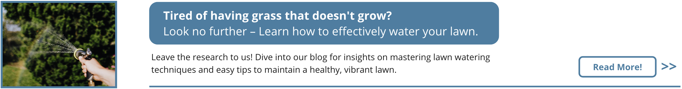 Leave the research to us! Dive into our blog for insights on mastering lawn watering techniques and easy tips to maintain a healthy, vibrant lawn.