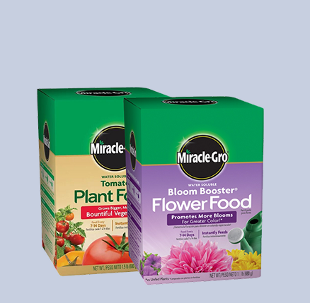 Plant and flower food