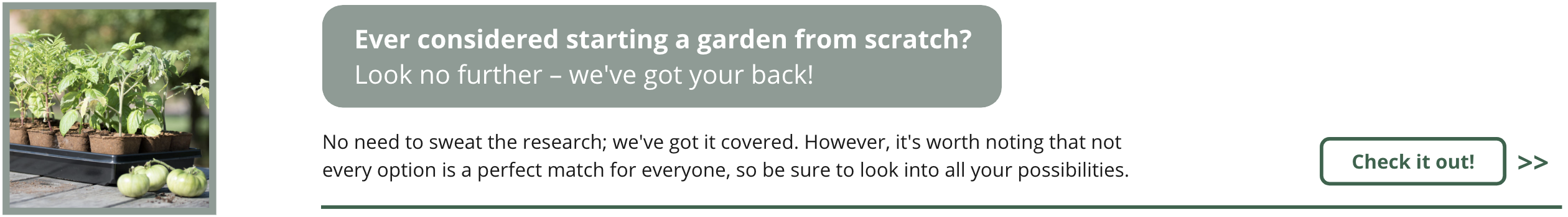 Ever considered starting a garden from scratch? Look no further, we've got some insights to help you start your gardening journey.