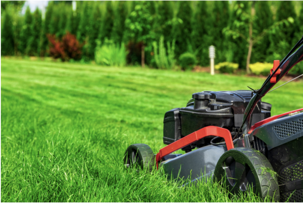 Someone mowing their lush green grass on a sunny day.