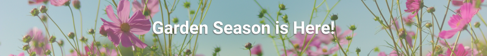 Ready, set, grow with flowers in the background.