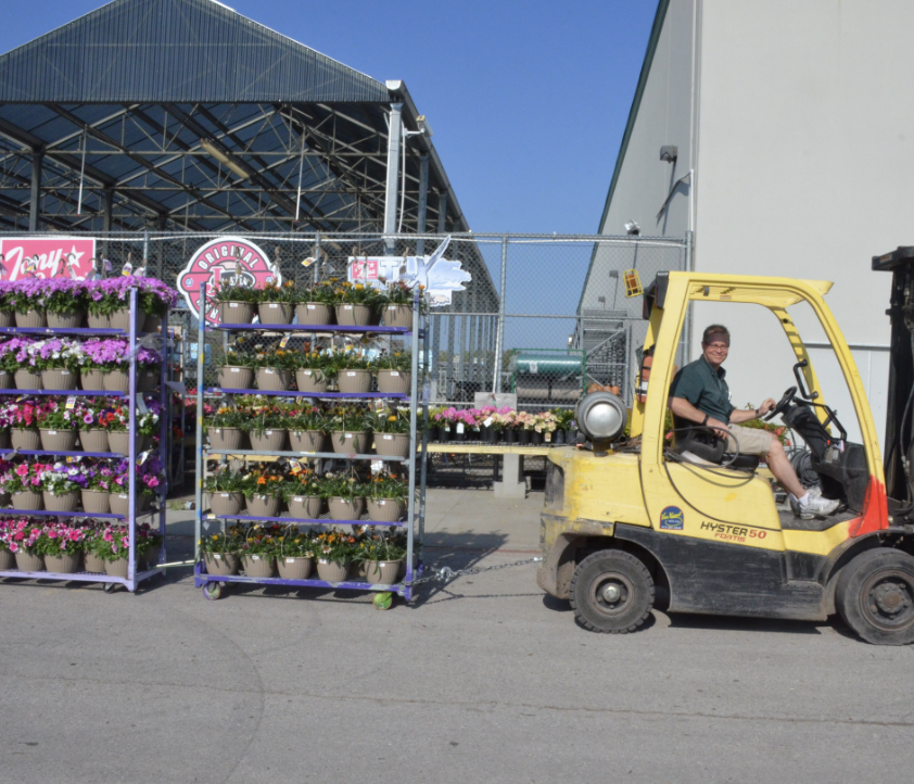 A store employee rearranging carts of beautiful hanging baskets. 