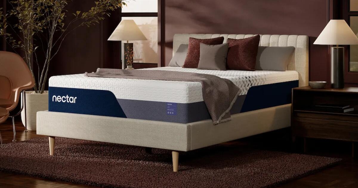 Mattress on a bedframe in a bedroom.