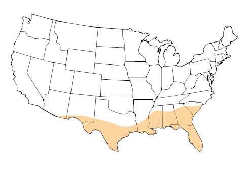 A map of the USA featuring the northern region.