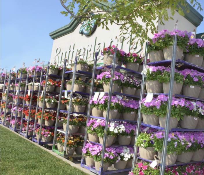 Hundreds of purple, orange, and pink flower hanging baskets on display outside of the Sutherlands store.