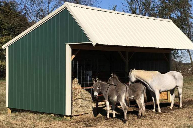 Green horse shelter with a cream colored trim and roof.