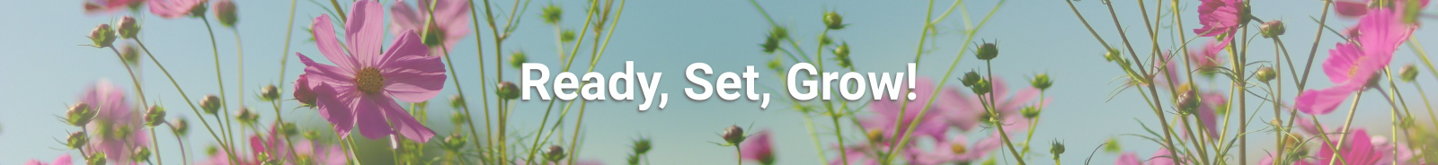 Ready, set, grow with flowers in the background.