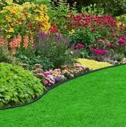 Landscape edging in a backyard.