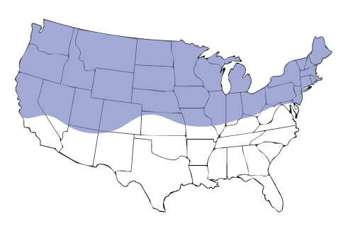 A map of the USA featuring the northern region.