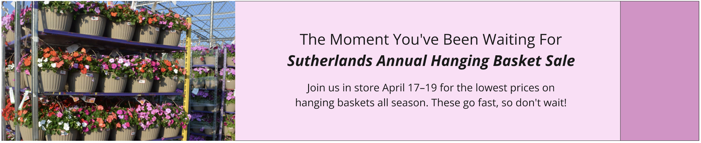 Sutherlands annual hanging basket sale is here! Shop in store April 17-19 for the lowest price of season. Shop the sale April 17, 18, and 19.