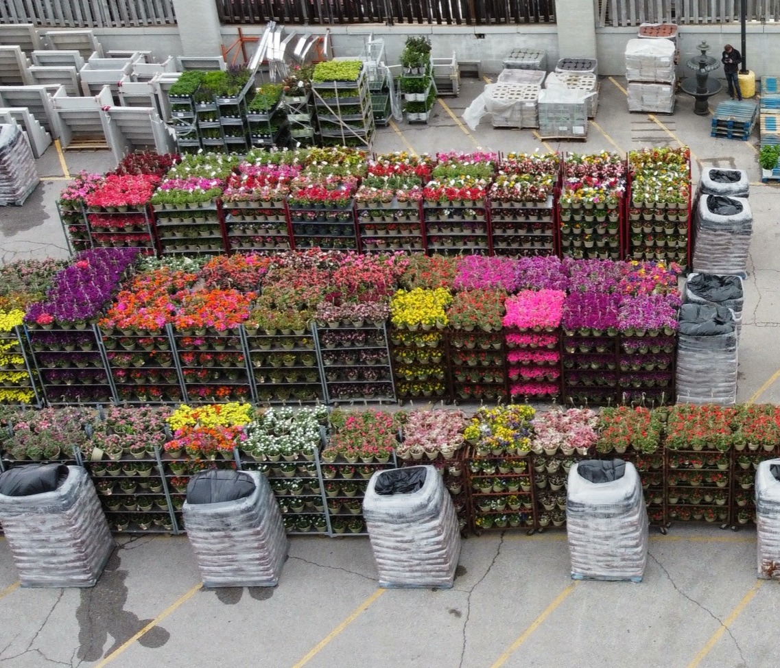 Drone shot of hundreds of hanging flower baskets.