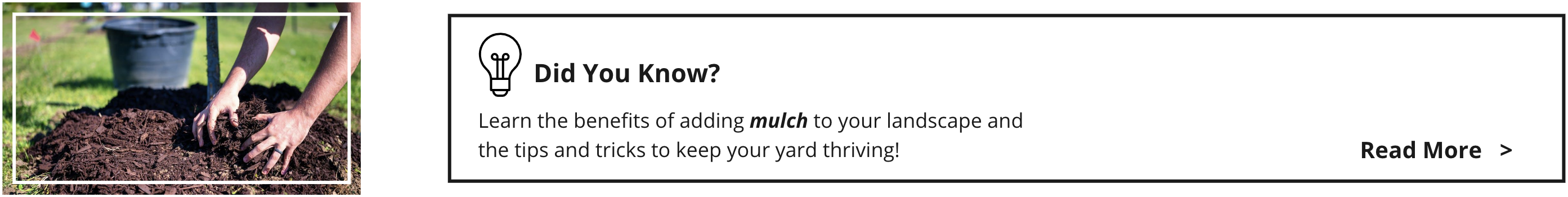 Learn the benefits of adding mulch to your landscape and the tips and tricks to keep your yard thriving!