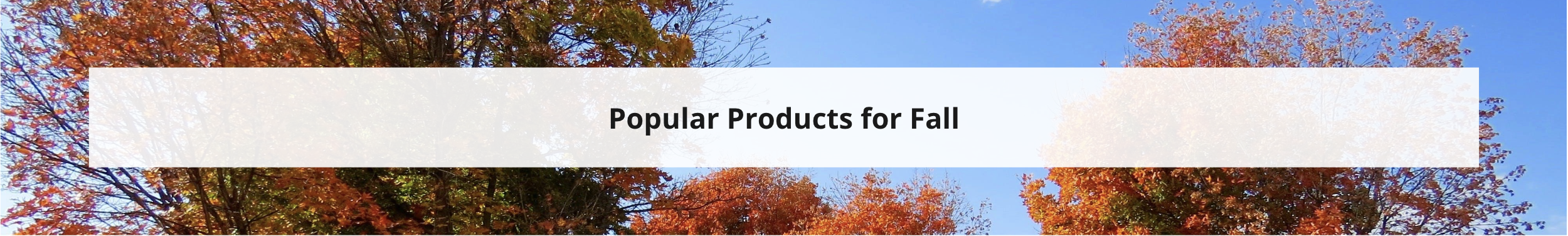 Popular products for the fall.