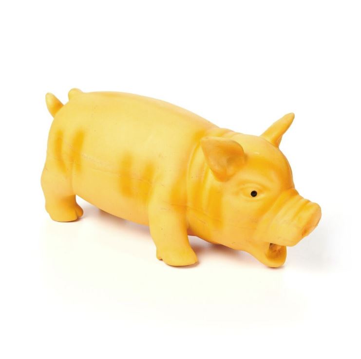 rubber pig dog toy