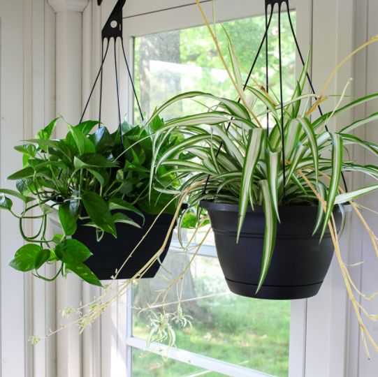 HC Companies ECI12000G18 12Inch Eclipse Square Black Hanging Basket at