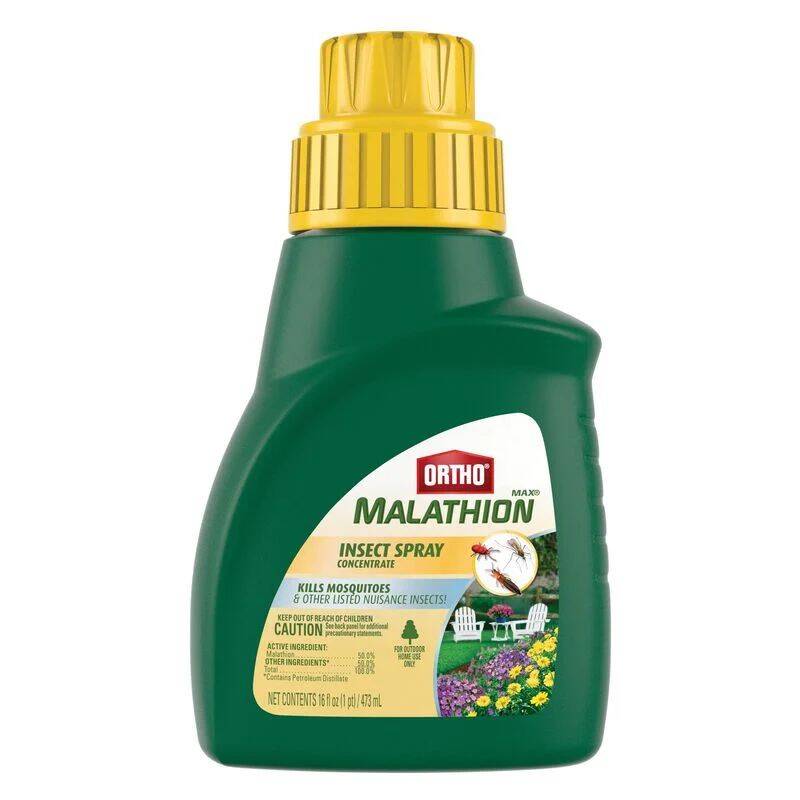 Ortho OR0165610 16-Ounce MAX® Malathion Insect Spray Concentrate