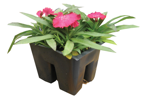 Bert R Hybels 1204 Assorted Bedding Plants, 4-Pack #6348999 at Sutherlands