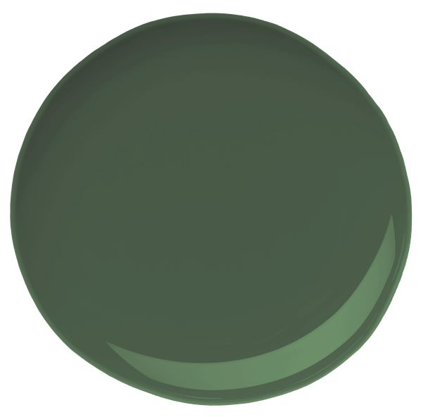 BEYOND PAINT BP 74 32Fl. Oz. Forest Green All In One Paint at Sutherlands