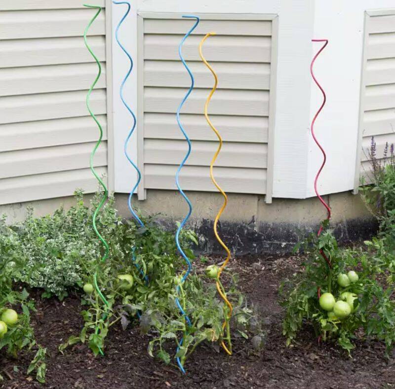 Gardener's Blue Ribbon TK901267RD6 5-Foot Red Tomato Twist at Sutherlands