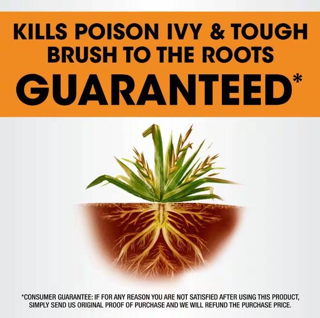 Roundup MS5378206 32Fluid Ounce Roundup Poison Ivy Plus Tough Brush Killer Concentrate at