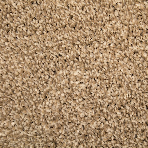 Southwind Carpet Mills P242-4205-12 
