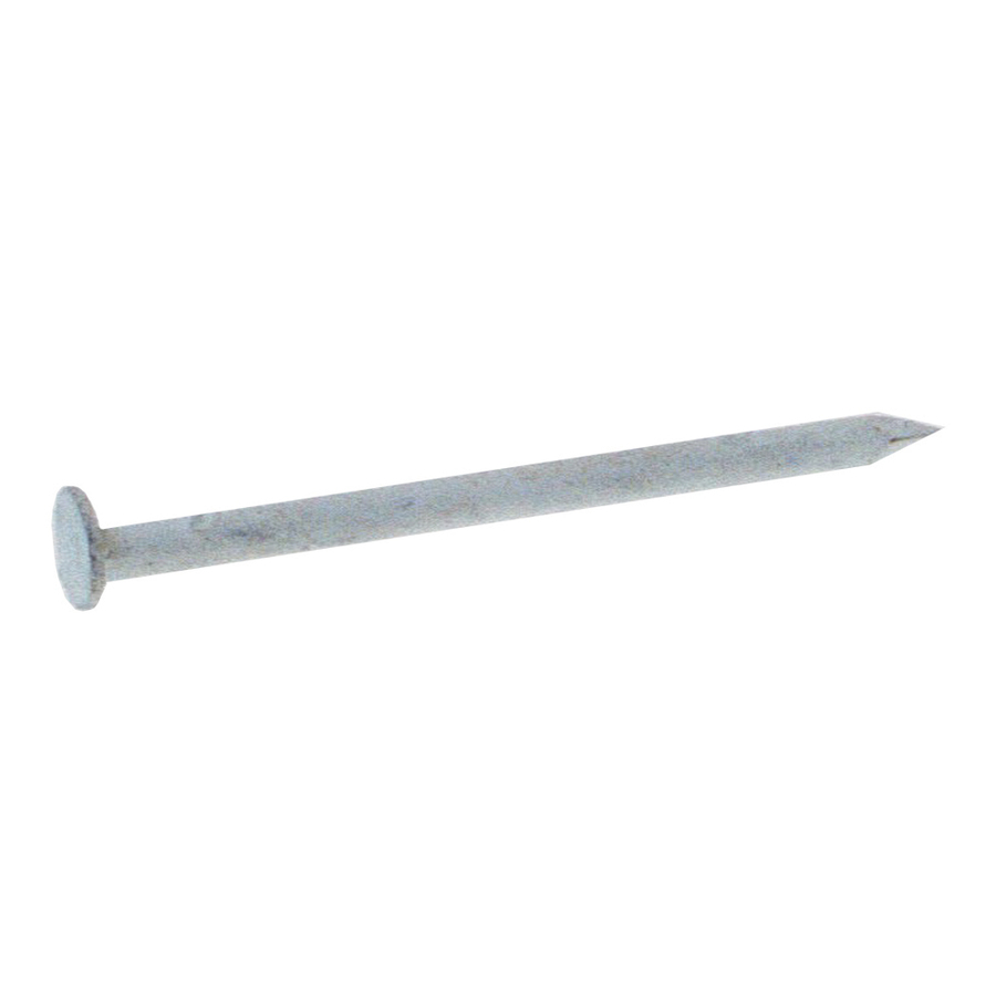Kaycan 201001 1Pound 11/4Inch White Stainless Steel Trim Nails at Sutherlands