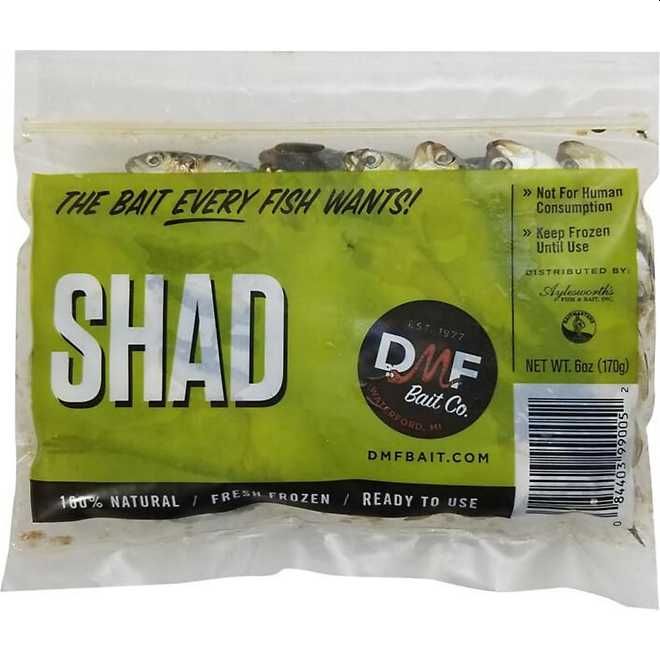 DMF Bait F6SHAD 6-Ounce Shad Frozen Bait at Sutherlands