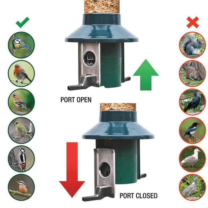 roamwild squirrel proof cardinal bird feeder