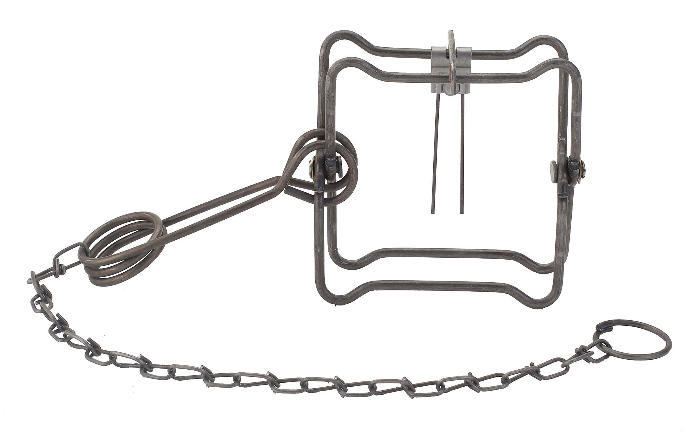 DUKE TRAPS 101743 4-Inch Steel Game Trap at Sutherlands