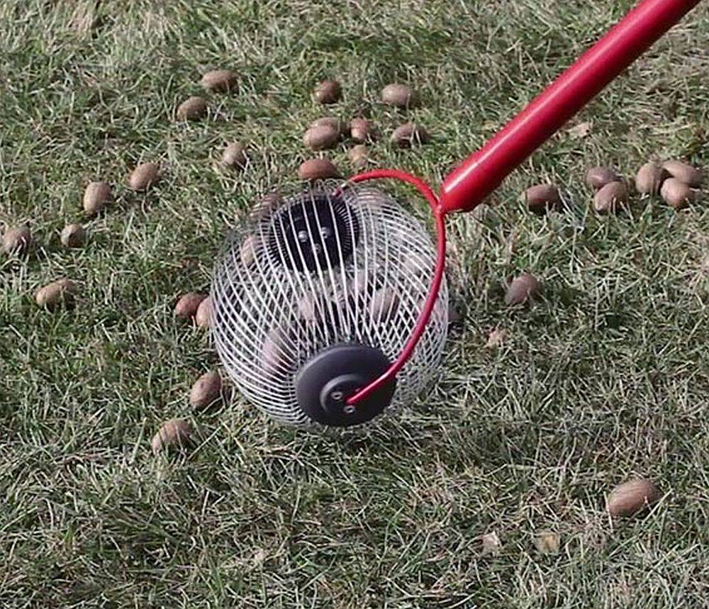 GARDEN WEASEL 95314 Weasel Medium Nut Gatherer at Sutherlands