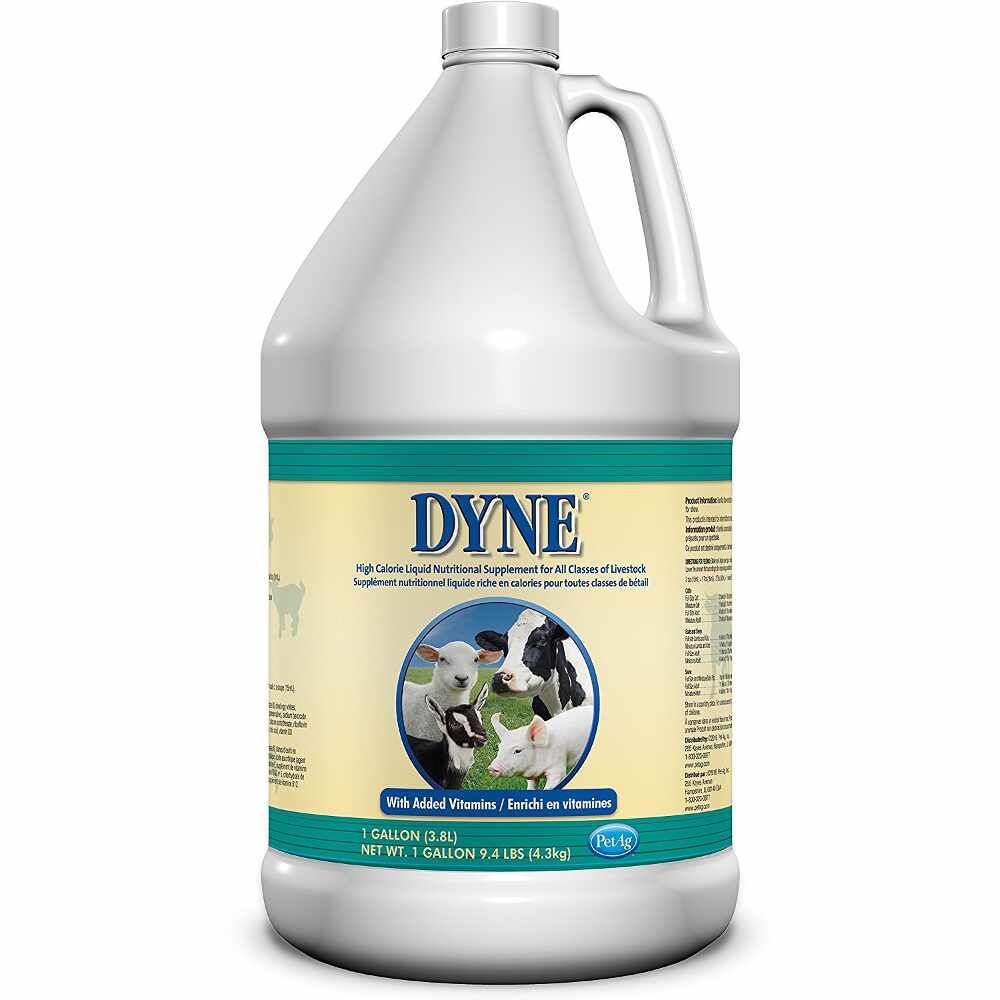 Dyne T20524 1-Gallon High Calorie Liquid Nutritional Supplement For All