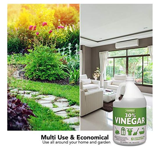 HARRIS PFHVINE30128 1Gallon 30 Percent Vinegar All Purpose Cleaner at