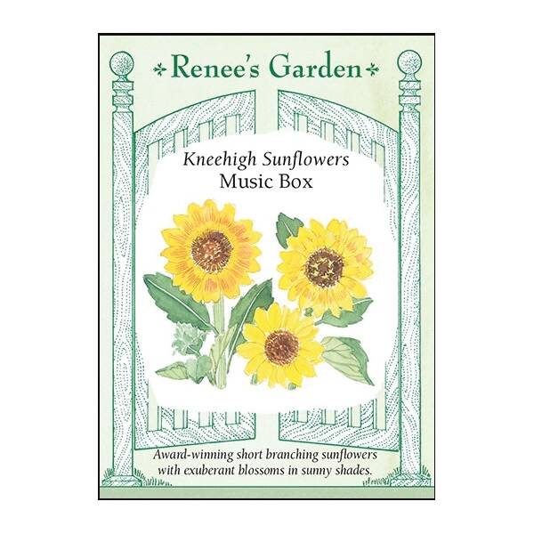 Renee's Garden 5001 Kneehigh Sunflowers Seed at Sutherlands