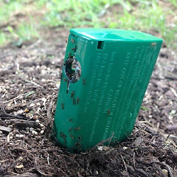 TERRO T1812 2Oz Sweet Liquid Ant Bait Stake at Sutherlands