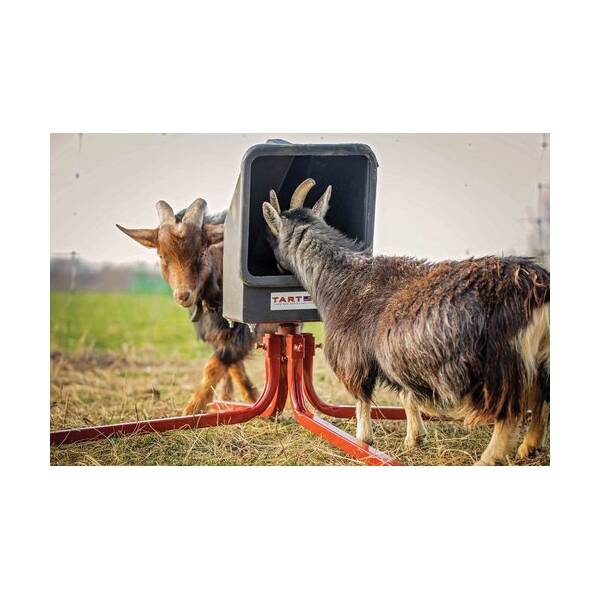 TARTER GMF Red Poly Small Animal Mineral Feeder at Sutherlands