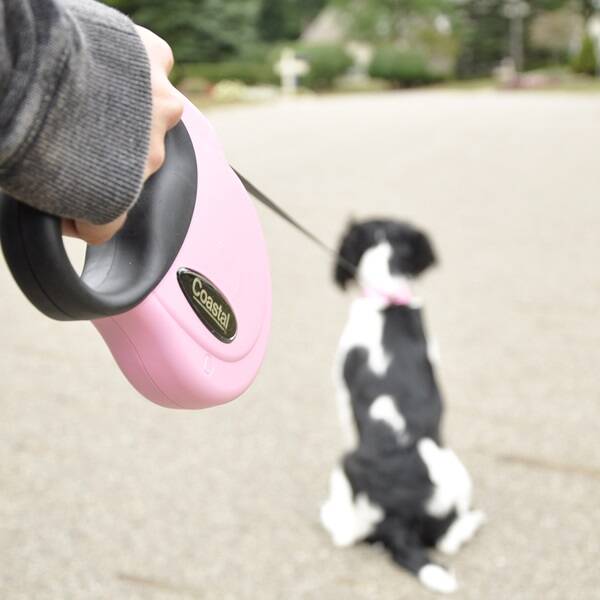 power walker dog leash